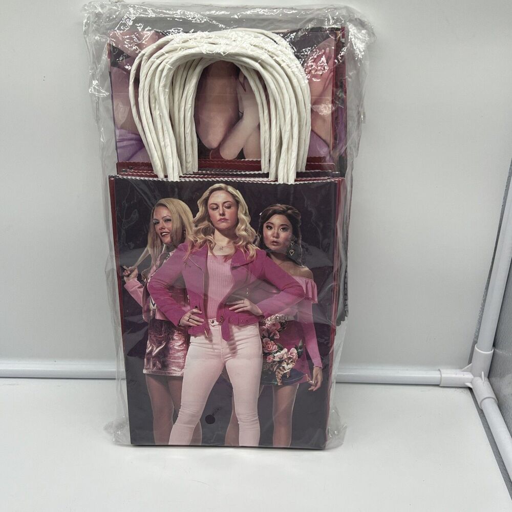 Mean Girls Party Bags. Lot Of 24. Party Favors Paper Bags. New